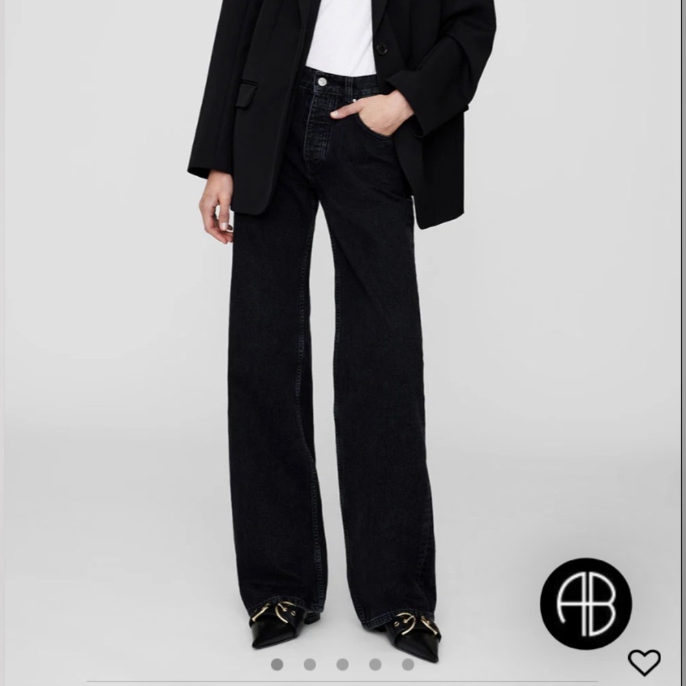Anine Bing Hugh Jean Vintage Black Size 26